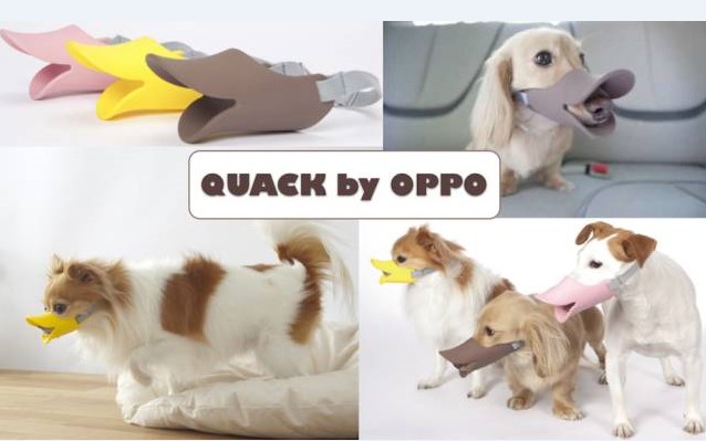 珠三角矽膠製品生產基地