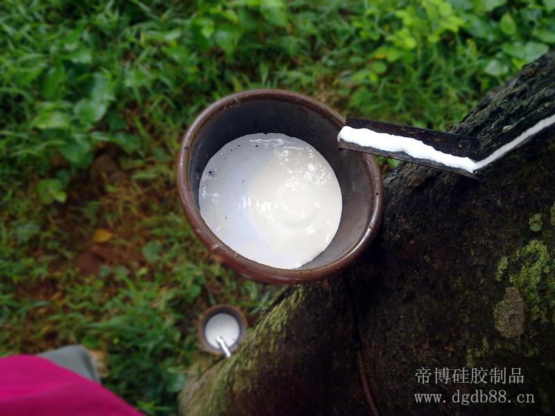 豌豆直播(bó)矽膠製品廠家